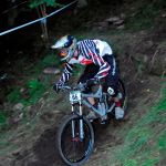 BadW_Birk_02s
